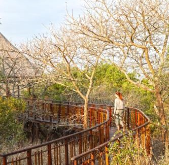 Hluhluwe Cabina | Thanda Safari