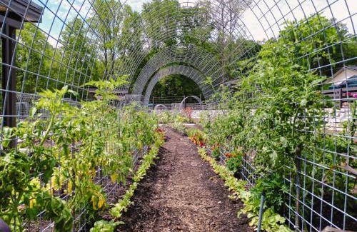 Balsam Grove Casa | The A-Frame- Solace at Valley Bear Farms Resort