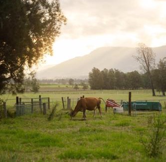 Far Meadow Casa | The Antidote Luxe Off-Grid Tiny Home Escape on Private Farm Stay