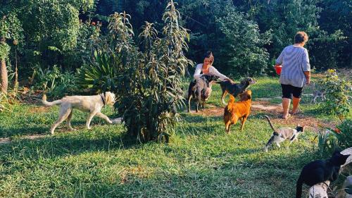 Aigialeia Casa | The Artist's Farm