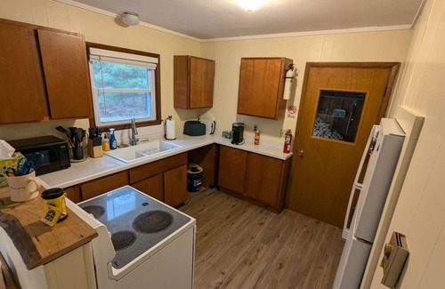 Herron Cabina | The Atwood Lodge | Secluded Cabin in Curran MI