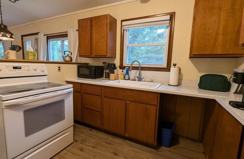 Herron Cabina | The Atwood Lodge | Secluded Cabin in Curran MI