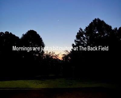 McCall Creek Cama Y Desayuno | The Back Field