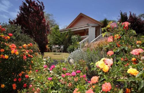 Rosh Pinna Chalet De Esquí | The Beautiful Cabins