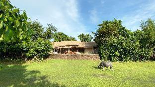 Angkor Thum Complejo | The Beige