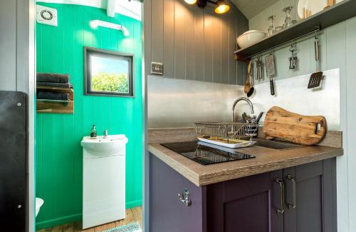 Kidwelly Otro | The Big Cwtch Shepherd's Hut