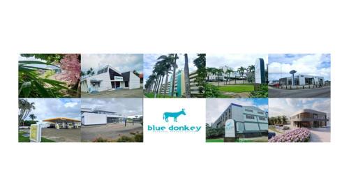Paramaribo Apartamento | The Blue Donkey