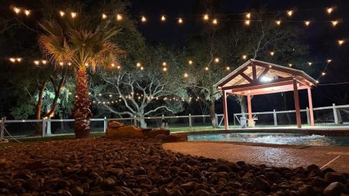 Pearland Casa | The Blue Oasis - Palm & Pool Retreat