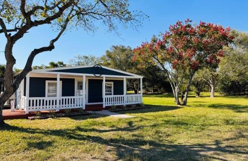 Pearland Casa | The Blue Oasis - Palm & Pool Retreat