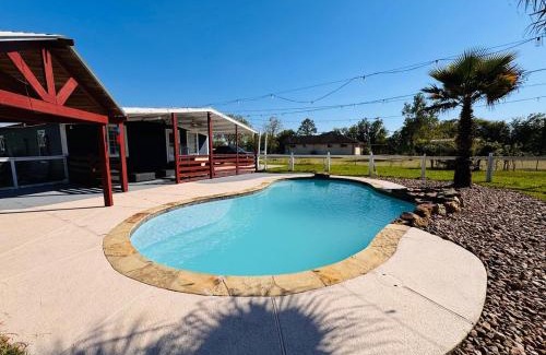 Pearland Casa | The Blue Oasis - Palm & Pool Retreat