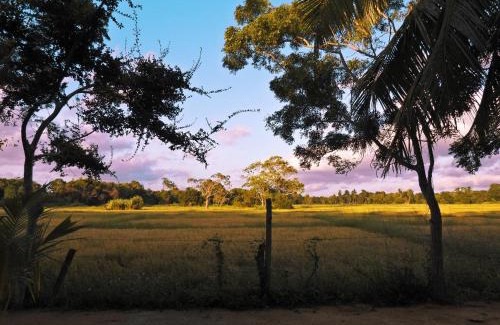 Nochchiyagama Complejo | The Blue Sapphire Of Wilpattu
