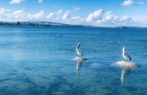 Encounter Bay Complejo | The Bluff Resort Apartments