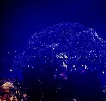 Kochi Casa | The Bougainvilla Homestay