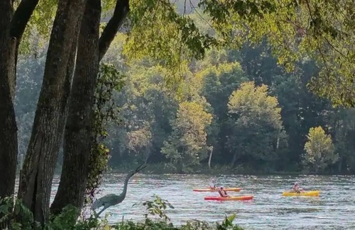 Flippin Casa | The Camper’s Cabin W/ Bunk Bed