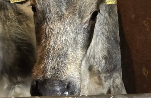 Scales Apartamento | The Canteen Beautiful 1-bed Apartment in Keswick