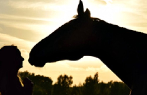 Pentrefelin Cabaña | The Cennen Pod