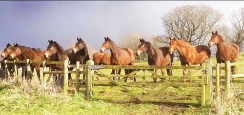 Sudbourne Casa | The Coach House Barn - Valley Farm