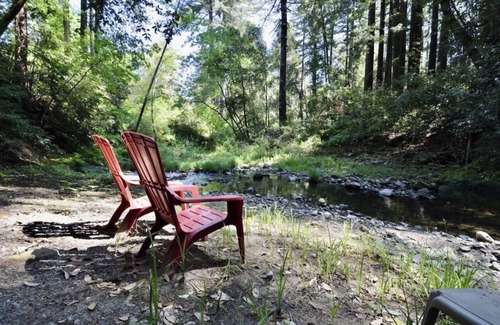Soquel Cabina | The Coastal Redwood Cabin - Peaceful, serene, with private creek! Dog OK!