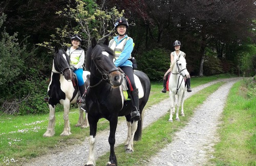 Pont-ar-gothi Cabaña | La cabaña, Brechfa, Carmarthen, capacidad para 4 personas