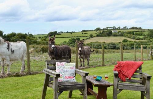 Glynarthen Casa | The Cottage - Osd