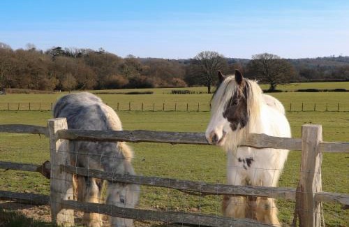 Sedlescombe Casa | The Cowshed