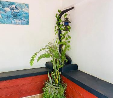 Habarana Casa | The Cozy Cottage Habarana