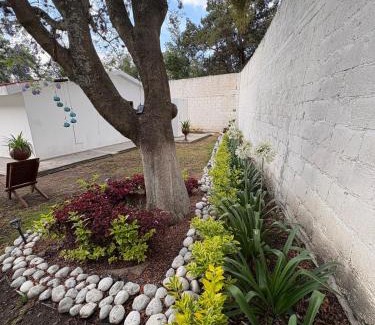 Yauhquemehcan Apartamento | The cozy corner