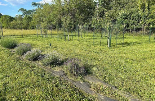 Granville Casa | The Barndaminium Beauty