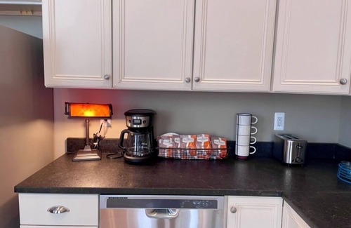 Downtown Cambridge Condominio | The Drinking Gourd: Stunning Penthouse in Historic Downtown Cambridge