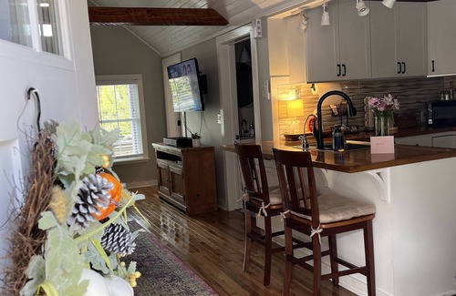 Jonesborough Cabaña | The Eggplant Cottage - Walking distance to downtown historic Jonesborough!!