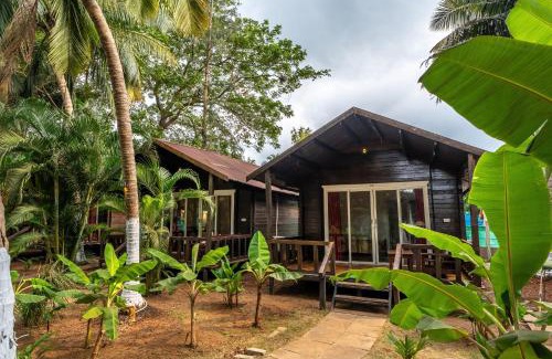 Agonda Hotel | The Exotica Agonda