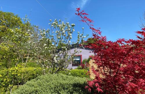Pentrefelin Chalet De Esquí | The Fabulous flower hut