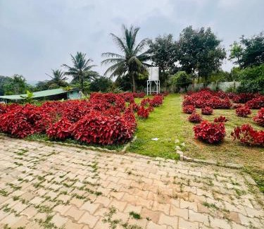 Agara Otro | The Fairy Tale Farms