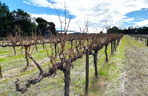 Nuriootpa Casa | The Gabby's Holiday House