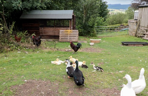 Rothbury Cabaña | The Granary