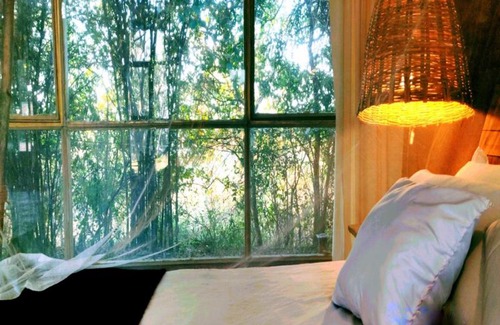 Vikarabad Complejo | The Grass Walk Jungle Lodge