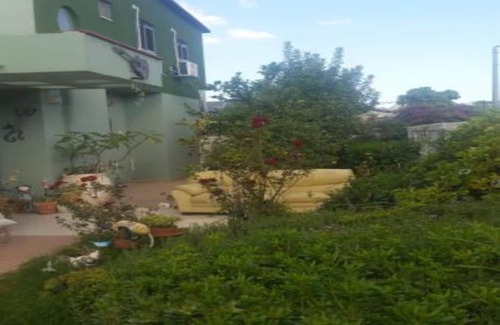 Arad Villa | La casa de la música verde