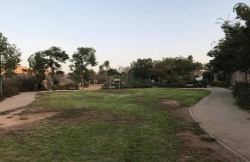 Arad Villa | La casa de la música verde