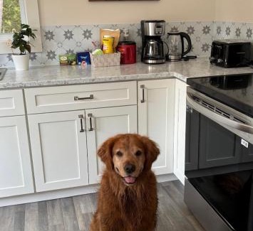 Saint Croix Casa | The Hideaway Cottage with Private trails