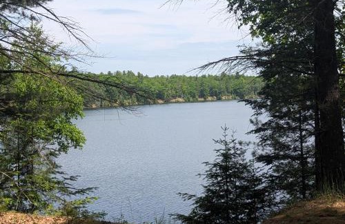 Oscoda Casa | The Hideout - Cute And Quiet Rustic Cabin!