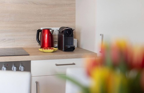 Dienten am Hochkoenig Apartamento | The Hochkönig view - apartment/apartment, shower, toilet, 2 bedrooms