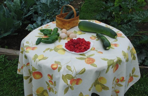 Viernoles Casa | Casa típica montañesa con huerto ecólogico a 15 minutos de la playa