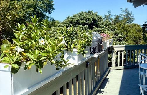 Surfside Beach Condominio | The Hut at the beach