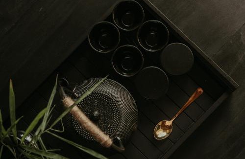 Cemagi Apartamento | The Iggy Hotel Seseh Loft 7 Sauna Ice Bath