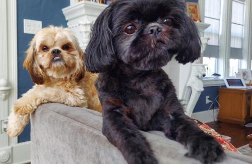 Historic Kenwood Cama Y Desayuno | The Kenwood Gables Boutique B&B