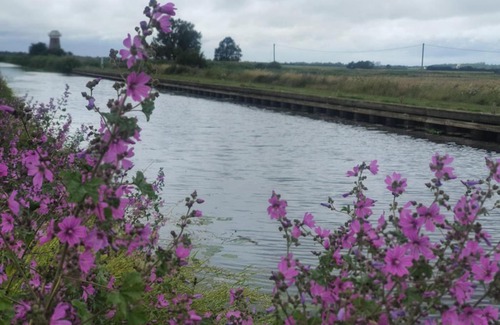 West Somerton Cama Y Desayuno | The Lion