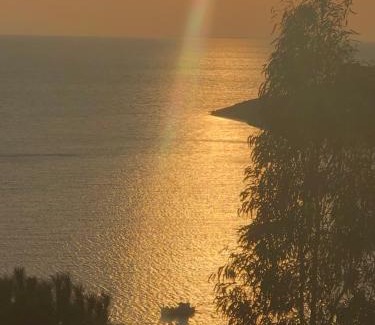 Mirties Casa | The little house on the hill of Myrties