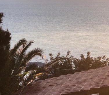 Mirties Casa | The little house on the hill of Myrties