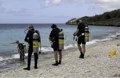 Playa Cama Y Desayuno | The Lodge Bonaire