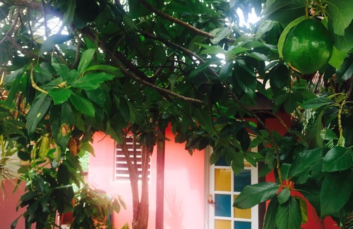Puntas Cabaña | 'The Love Shack' su escondite en Rincón